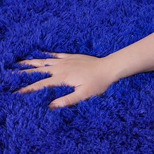 Small Rugs for Bedroom, Fluffy 2x3 Rug Throw Non Slip for Bedside Dorm Kids Room, Plush Comfy Shag Carpet for Home Decor Aesthetic, Royal Blue