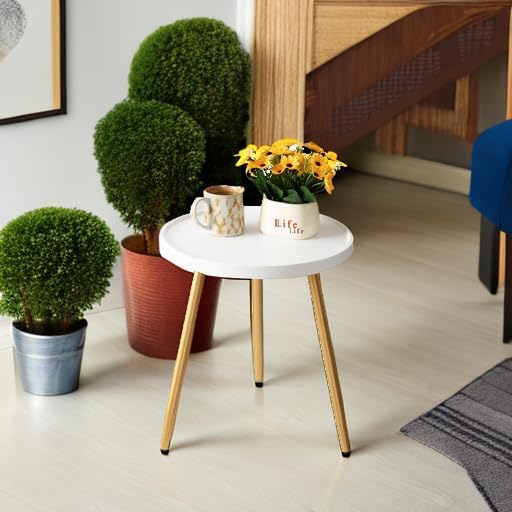 danpinera Round Side Table, Metal Legged Accent Table with Wooden Tray, Small Round End Table for Living Room, Bedroom, Nursery, White & Gold