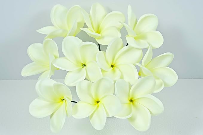 Birthday Gifts for Women 10pcs Warm White Flowers PU Real Touch Flowers Hawaiian Plumeria Frangipani Artificial Flowers for DIY Birthday Gifts Wedding Gifts Home Decor Table Centerpiece
