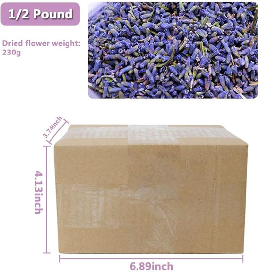 Dried Lavender Flowers, Natural Dried Lavender Buds, Fragrant Dried Lavender Bulk for Drawers and Closets, Wholesale Dried Flowers for Soap, Candle, Sachets, DIY (1/2 Pound)