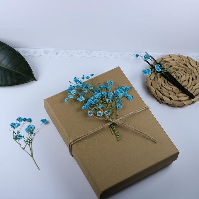 50 Branches Lake Blue Pressed Flowers Bulk Dried Flower Kit for Resin , Dried Babys Breath Flower Natural with Tweezer for Crafts Christmas DIY Gift Scrapbooking Photo Props.