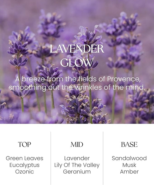 M&SENSE Lavender Glow Reed Diffuser Set - 8.79fl oz Home Fragrance Non-Toxic Essential Oil Diffuser with Sticks, Air Freshner Gifts for Bathroom Shelf Decor