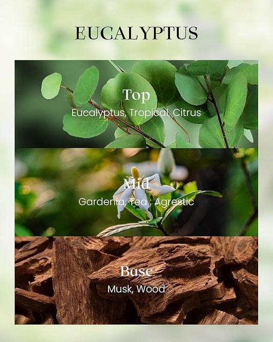 M&SENSE Eucalyptus Candles,Vegan Soy,8.1oz 42-Hour Slow Burning Time, Scented Candles for Relaxing Calming, Housewarming Gifts for Women & Men