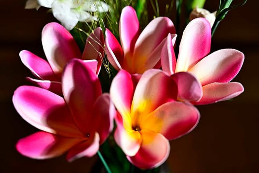 15pcs White Hot Pink Flowers PU Real Touch Lifelike Hawaiian Artificial Flowers for DIY Wedding Bouquets Bridal Shower Centerpieces Arrangements Party Tables Decorations