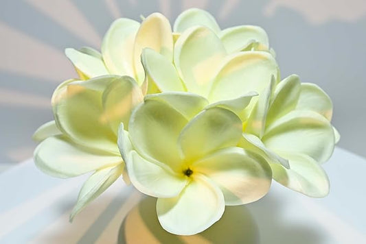 Birthday Gifts for Women 10pcs Warm White Flowers PU Real Touch Flowers Hawaiian Plumeria Frangipani Artificial Flowers for DIY Birthday Gifts Wedding Gifts Home Decor Table Centerpiece