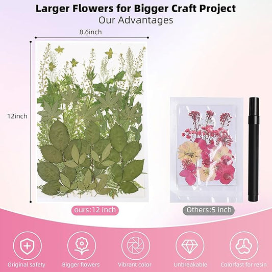12“ Large Bulk Summer Dried Pressed Flowers for Glass Frame, Real Dry Natural Flower Leaf Daisy for Resin Mold, Cake Decor, Phone Cases (Dried Green Leaves)