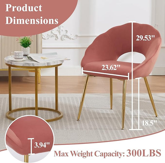 Modern Small Accent Chair Set of 4, Comfy Velvet Vanity Chair with Shell Back & Golden Metal Legs, Decorative Dining Chair no Wheels for Living Room, Makeup Room, Bedroom, Pink