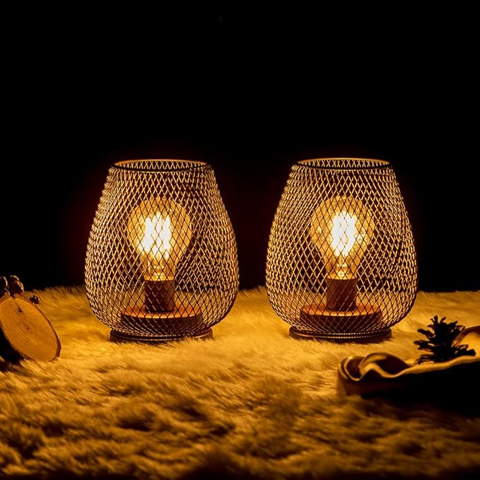 DECORKEY Set of 2 Rechargeable Lamp LED Table Lantern, Brown Metal Cage Cordless Lamps with LED Bulb,Vintage Decorative Outdoor Lantern for Weddings, Parties, Patio, Events for Indoors Shelf Decor