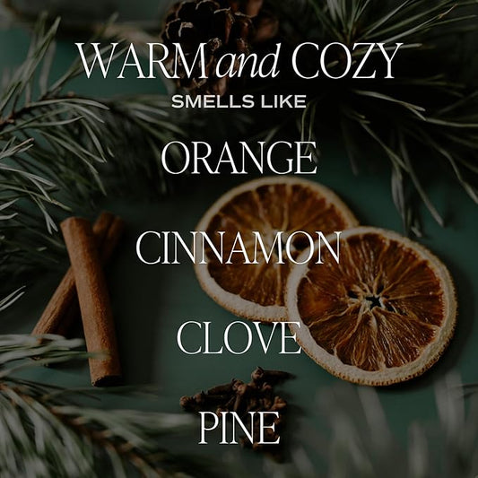 Sweet Water Decor Warm and Cozy Reed Diffuser Set - Orange, Cinnamon, Clove, and Pine Fall and Winter Scented Diffuser - Scent Diffusers for Home, Long Lasting Fragrance, Made in The USA