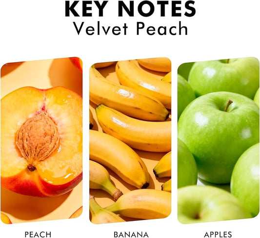 Reed Diffuser Set, Velvet Peach Scent Fragrance Oil Diffuser, Reed Diffusers for Home, Bathroom Air Fresheners & Decor