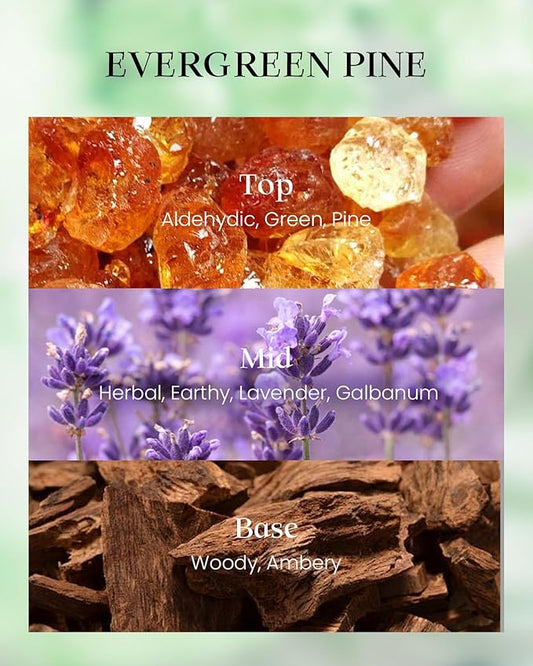 M&SENSE Evergreen Pine Scented Vegan Soy Candles,8.1oz 42-Hour Slow Burning Time,No Toxin Candles for Fall Winter Aromatherapy Calming Home Fragrance,Christmas Gifts for Women & Men