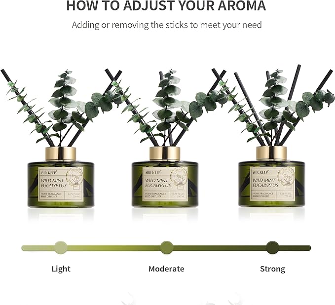 Airkeep Reed Diffuser Set with 6.76 fl oz Wild Mint & Eucalyptus Scent Essential Oils and 3 Leaves & 8 Diffuser Sticks,Bathroom Shelf Decor & Air Freshener, House Bedroom Office Decor & Gifts
