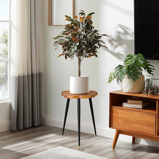 Plant Stand Indoor, Wood Plant Table Plant Holder with Raised Design,Heavy Duty Metal Flower Pot Stand, Mid Century Modern Home Decor Small Side End Table(Clr.1-Flower 16" H)