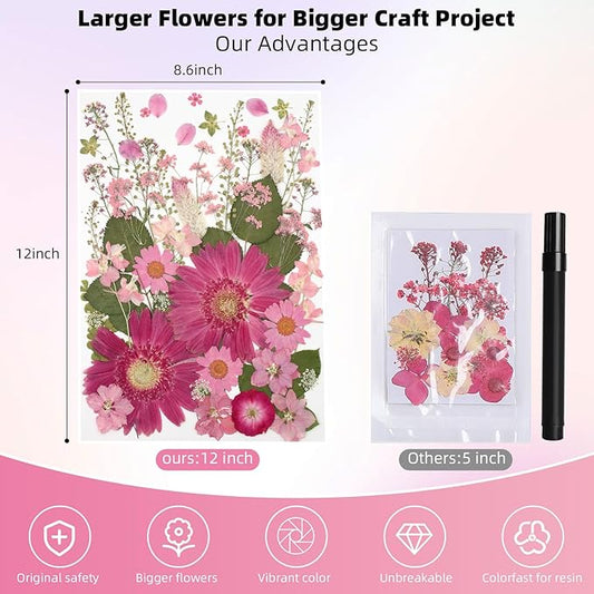 12“ Large Bulk Dried Pressed Flowers for Glass Frame, Real Dry Natural Flower Leaf for Resin Mold, Cake Decor, Holiday Decorations, Phone Cases, Invitations (Pink Fairy)
