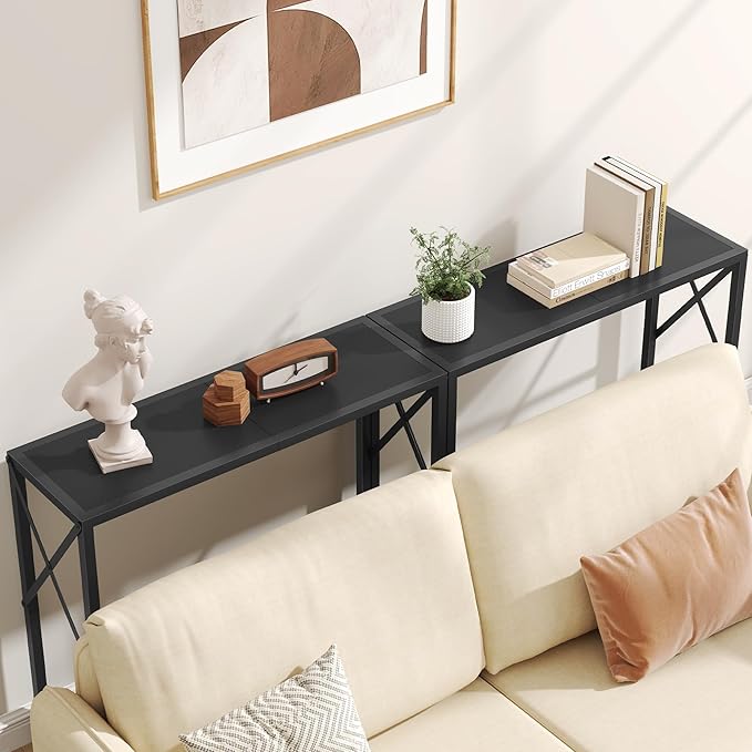 Tajsoon Small Entryway Table, 2-Tier Narrow Consle Table for Entryway, Small Hallway Table with Storage Shelves, Thin Sofa Table for Hallway, Living Room, Corridor, Office, Black