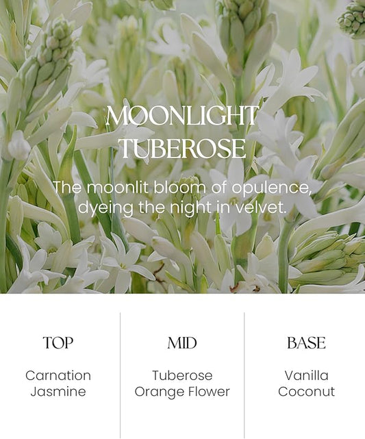 M&SENSE Moonlight Tuberose Reed Diffuser Set - 8.79fl oz Home Fragrance Non-Toxic Essential Oil Diffuser with Sticks, Air Freshner Gifts for Her or Him