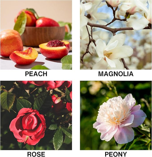 Flora D’Amour Reed Diffuser Oil for Home – Long Lasting Diffusers for Home with Rose, Peony, Magnolia & Peach – Premium Aroma Fragrance for Room, Bedroom & Bathroom – 150ml