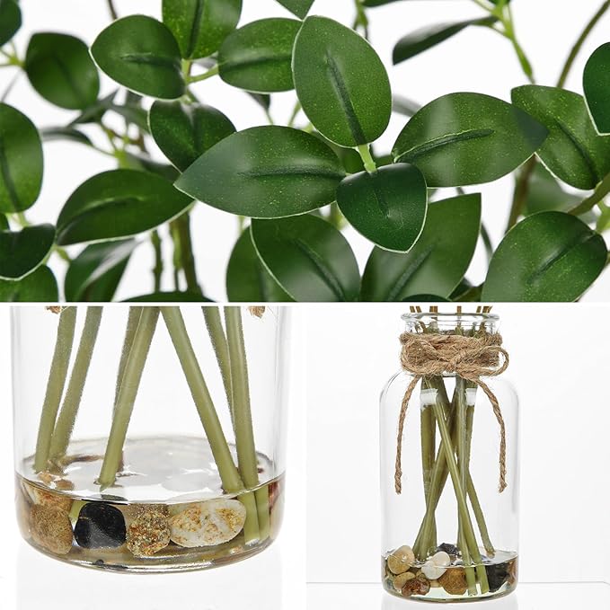 DILATATA Artificial Ficus Stems in Glass Vase with Faux Water and Real Stones 15" Fake Greenery Plant Ficus Leaves for Home Office Farmhouse Bathroom Bedroom Kitchen Table Centerpiece Decor