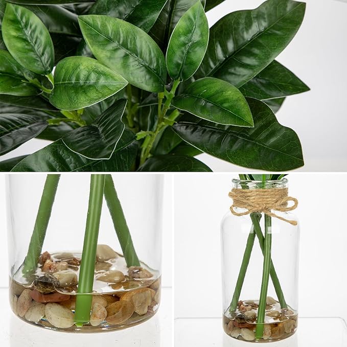 DILATATA Artificial Magnolia Stems in Glass Vase with Faux Water and Real Stones 15" Fake Greenery Plant Magnolia Leaves for Home Office Farmhouse Bathroom Bedroom Kitchen Table Centerpiece Decor