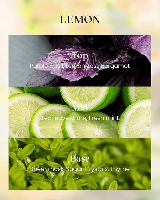 M&SENSE Lemon Scented Vegan Soy Candles, No Toxin 8.1oz 42-Hour Long Burning Time,Calming Stress Relief Candles for Home Fragrance Office,Housewarming Gift for Women & Men