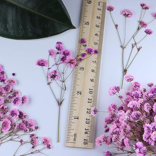 100 Pcs Pink Baby's Breath Real Dried Pressed Flowers.Vacuum-Packed Mini Dried Baby's Breath Flowe Specimen +1 Tweezers, for Resin Art /DIY Making Wedding Card/ Home Party Decor.