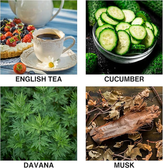 Tea Garden Bloom Reed Diffusers for Home – Aroma Diffuser with English Tea, Cucumber, Davana & Musk – Formula – Long Lasting Scent for Bedroom, Office, or Living Room – 50ml