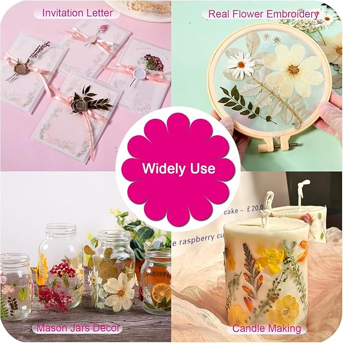 12“ Large Bulk Summer Dried Pressed Flowers for Glass Frame, Real Dry Natural Flower Leaf Daisy for Resin Mold, Cake Decor, Phone Cases (Gorgeous)