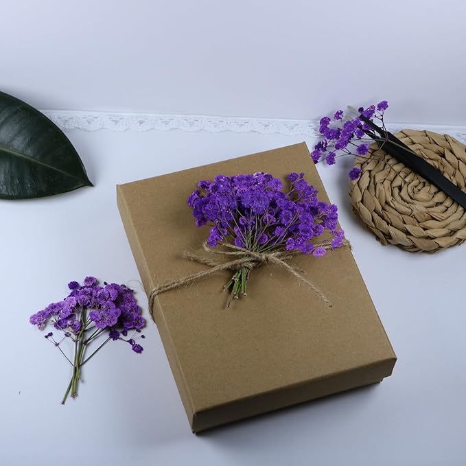 100 Branches Purple Pressed Flowers Bulk Dried Flower Kit for Resin , Dried Babys Breath Flower Natural with Tweezer for Crafts Christmas DIY Gift Scrapbooking Photo Props.