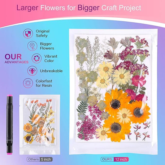 12“ Large Fall Dried Pressed Flowers for Art Crafts, Real Dry Natural Flower Leaf Fruit Bulk for Resin Mold, Cake Decor, Glass Frame (Autumn Sunflower)