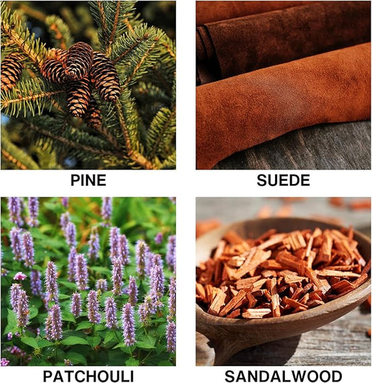 Wildwood Reed Diffuser – Home Fragrance Diffuser with Pine, Suede, Patchouli & Sandalwood – Long Lasting Diffusers for Home Scented Aroma Sticks – 150ml