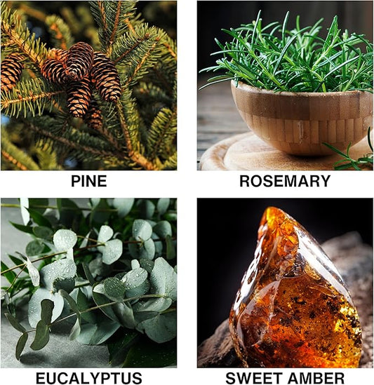 Reed Diffuser Misty Pines Scent, Luxury Reed Diffuser with Pine, Eucalyptus & Amber, Long-Lasting, Natural Aromatherapy Scent for Home, Office, or Bedroom – 50ml