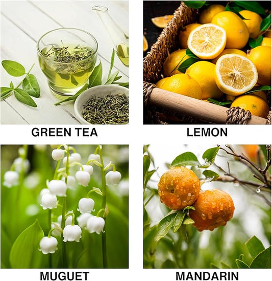 Tea Garden Bliss Reed Diffuser, Aromatherapy Diffuser with Green Tea, Mandarin, Lemon & Muguet, Long-Lasting Home Fragrance for Relaxation & Serenity – 50ml