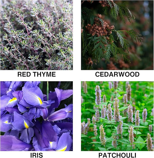 Smoked Hide Aroma Reed Diffuser – Long-Lasting Room Scent Diffuser with Formula – Premium Home Fragrance Diffuser with Essential Oils for Bedroom & Living Room – 150ml