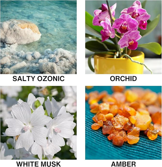 Reed Diffuser for Bathroom – Aroma Bathroom Diffuser with Sticks – Long Lasting Salty Ozonic & Orchid Scent – Home Fragrance for Entryway, Office, or Guest Bath – 150ml