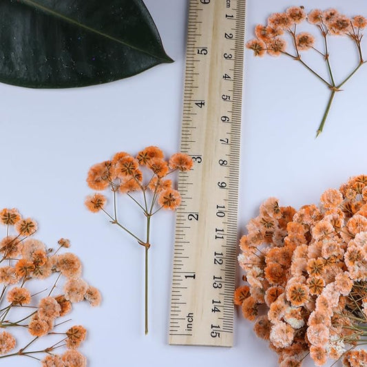 100 Pcs Orange Small Dried Babys Breath Flowers for Resin ,Real Dried Babys Breath Pressed Flower for Wedding Invitations Wax Seals ,Dry Flat Baby's Breath Flower with 1 Tweezers.