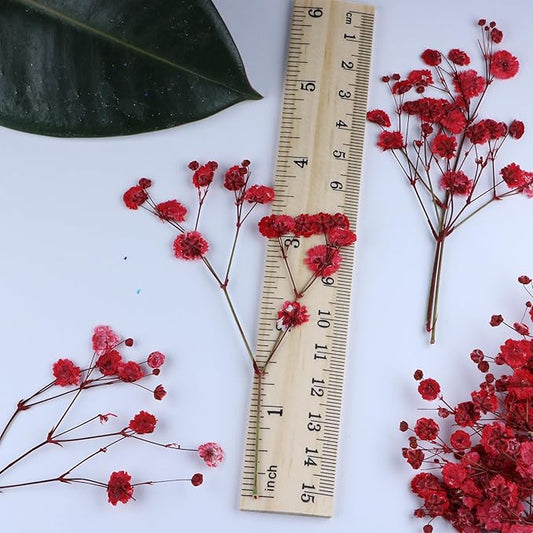 100 Pcs Red Baby's Breath Real Dried Pressed Flowers.Vacuum-Packed Mini Dried Baby's Breath Flowe Specimen +1 Tweezers, for Resin Art /DIY Making Wedding Card/ Home Party Decor.