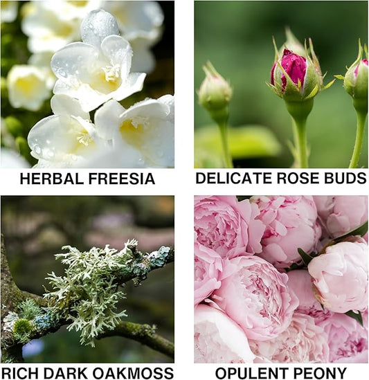 Reed Diffuser for Bathroom – Bathroom Diffuser with Sticks – Long Lasting Aroma with Essential Oils – Tropical Muse Scent with Rose, Oakmoss & Peony – 150ml