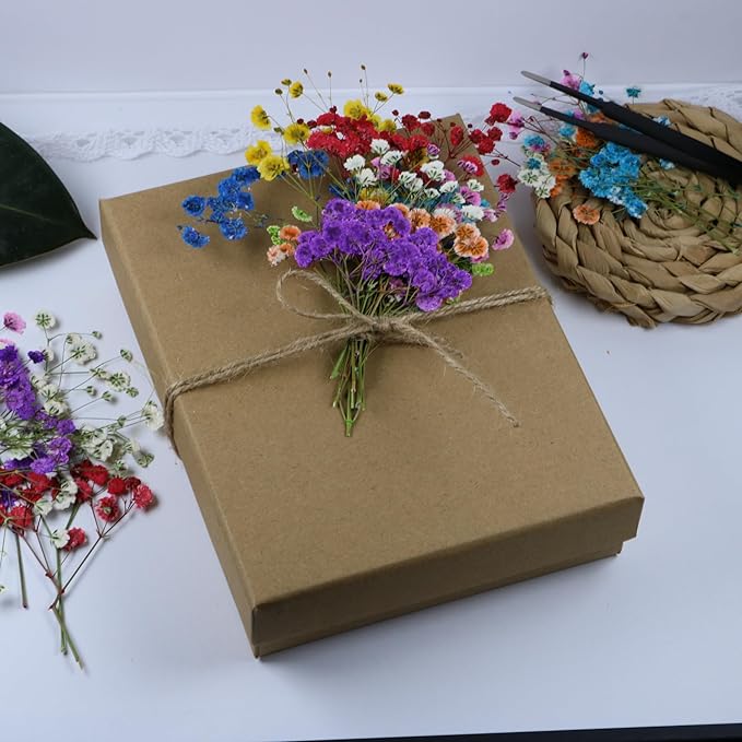 Colorful 45 Pcs Minir Baby's Breath Flowe for Resin Art / Invitations Card Decor/Bookmark Jewelry DIY Craft, Real Dried Pressed Baby Breath Flowers Bulk with 1 Tweezers.