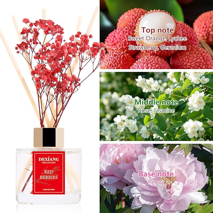 Reed Diffuser Set - 3.38 fl oz (100ml) Red Berries Home Fragrance Reed Diffuser for Bathroom Shelf Decor 6 Reed Stick