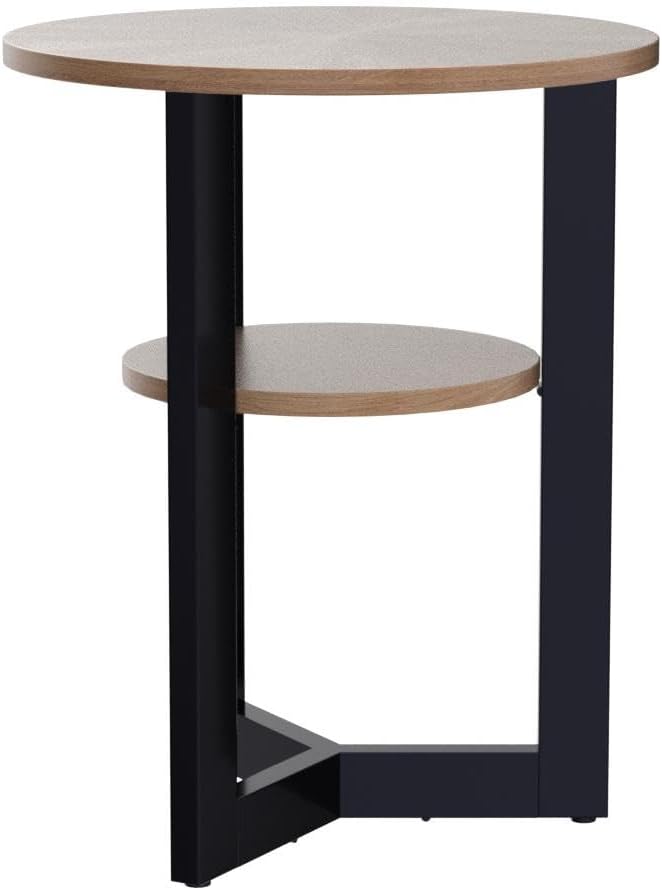 LEEMTORIG Round Side Table, 2-Tier High End Table Nightstand with Metal Legs, Modern Bedside Couch Table for Living Room, Bedroom, Office, Rustic Natural/Black, 19.3 x 19.3 x 24 inches BZ-1338