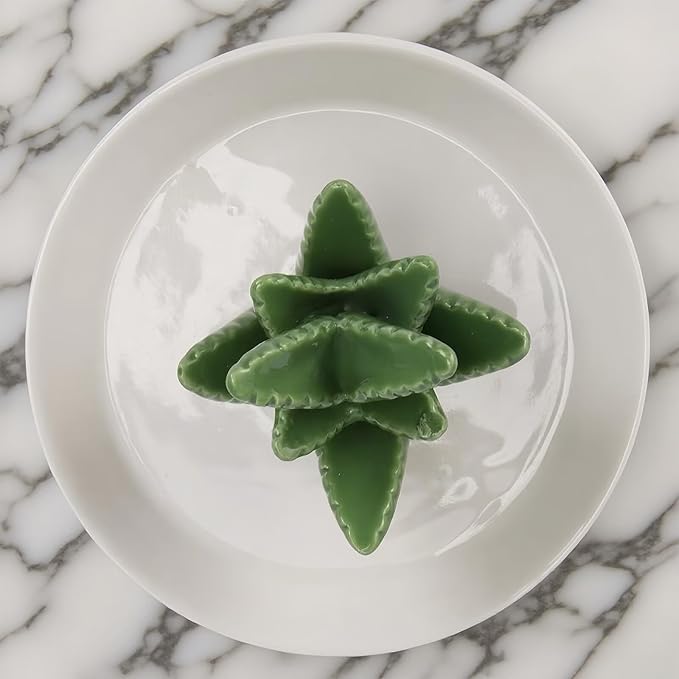 Aloe Ceramic Jewelry Tray, Ring Dish & Trinket Holder - Boho Room & Bathroom Decor for Women, Cute Desk Organizer - Gift for Her, Mom, Sister, Best Friend, Christmas, Birthday