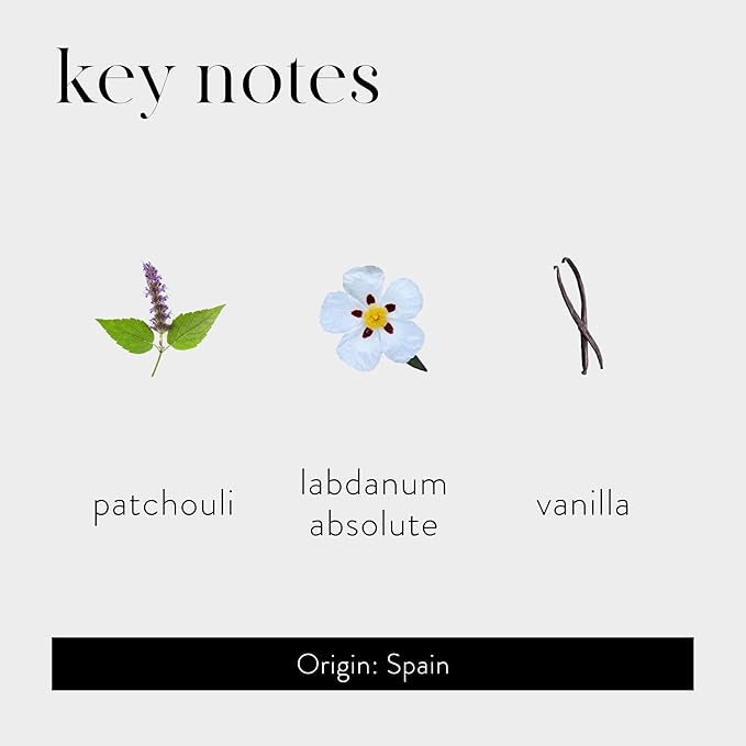 LAFCO New York Absolute Collection Reed Diffuser, Labdanum - 15 oz - Up to 1 Year Fragrance Life - Reusable, Hand Blown Glass Vessel - Nylon Reeds - Made in The USA