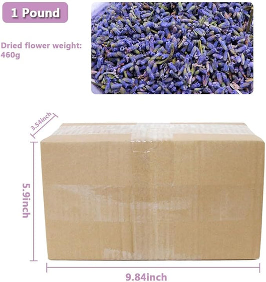 Dried Lavender Flowers, Natural Dried Lavender Buds, Fragrant Dried Lavender Bulk for Drawers and Closets, Wholesale Dried Flowers for Soap, Candle, Sachets, DIY (1 Pound)