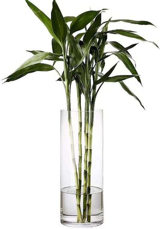 DARENYI Clear Glass Vase for Flowers, 12 inches Tall Cylinder Vase Decorative for Centerpiece, Living Room, Floating Candle, Office, Wedding or Gifts