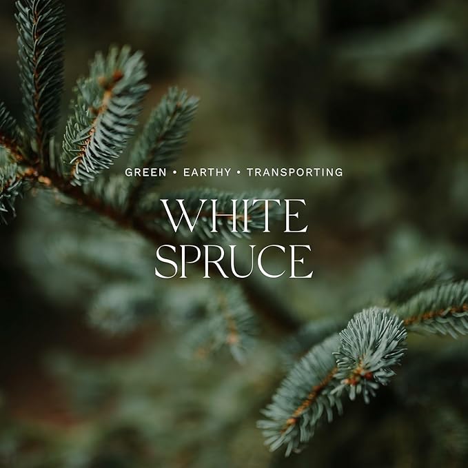 Antica Farmacista Home Ambiance Diffuser - Long-Lasting Reed Scent Diffuser - Luxury Room Freshener Gift - White Spruce, 10.8 fl oz