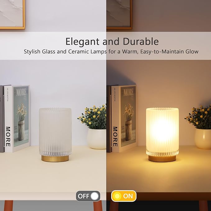 Battery Operated Lamp, Cordless Table Lamp with Timer, Desk Bedside Lamps with LED Warm Light, Glass Small Table Lamp for Bedroom, Bathroom, Living Room, Home Decor - Frosted White