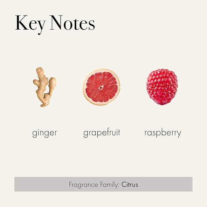 LAFCO New York Classic Reed Diffuser, Champagne - 6 oz - Up to 3 Months Fragrance Life - Reusable, Hand Blown Glass Vessel - Natural Wood Reeds - Made in The USA