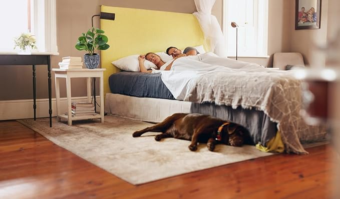 AlphaAcc Artificial Plants Real Looking and Touching Fake Plant Evergreen Plastic Fiddle Leaf Fig Plant with Rustic Black Cement Planter for Housewarming Office Desk Decor