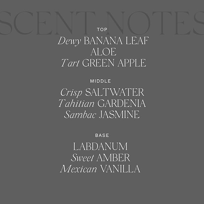 Antica Farmacista Home Ambiance Diffuser - Long-Lasting Reed Scent Diffuser - Luxury Room Freshener Gift - Lush Palm, 16.9 fl oz