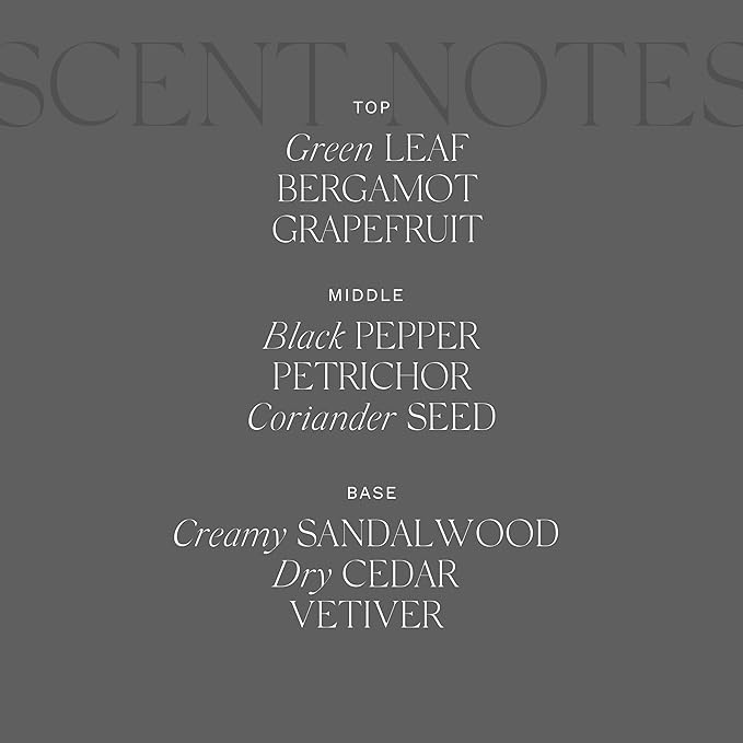 Antica Farmacista Home Ambiance Diffuser - Long-Lasting Reed Scent Diffuser - Luxury Room Freshener Gift - Tarmac, 10.8 fl oz